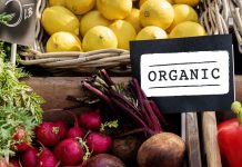 AKO IMATE PROBLEM SA ŠTITNOM ŽLIJEZDOM, OVE 2 NAMIRNICE IZBACITE: Štitna žlijezda ih nikako ne voli