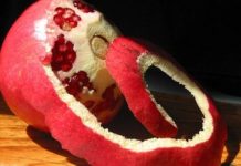 Prokuhajte koru nara i zahvalit ćete mi na ovoj tajni (bolje nego samo voće)!