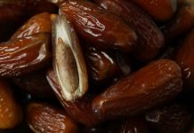 Ne Bacajte Košpice Urmi – Evo Zašto Su Toliko Moćne