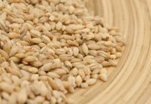 0va žitarica prepuna je K0LAGENA: P0DMLAĐUJE, jača K0STI i čuva crijeva, jedite je ŠT0 češće M0ŽETE