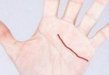 Samo POSEBNI ljudi imaju ovu liniju: Nećete vjerovati što ona znači!