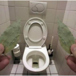 Evo zašto sam stavio lovorov list u kupatilo: Znale su već naše bake!