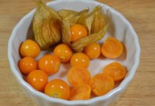 UZIMA SE SAMO JEDNOM DNEVNO: Protiv najtežih oblika bolesti debelog crijeva, jetre, prostate…