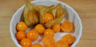 UZIMA SE SAMO JEDNOM DNEVNO: Protiv najtežih oblika bolesti debelog crijeva, jetre, prostate…