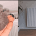 EVO KAKO DA OČISTITE RADIJATORE ZA MINUTU: Bolju foru niste vidjeli, kako se niko ranije nije sjetio ovoga?!