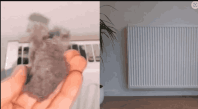 EVO KAKO DA OČISTITE RADIJATORE ZA MINUTU: Bolju foru niste vidjeli, kako se niko ranije nije sjetio ovoga?!