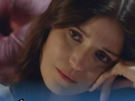 TEŠKO VAMA AKO S NJIMA BUDETE U NEVOLJI – BEŽE U ZAKLON NA PRVI ZNAK: Astrolozi otkrili KUKAVICE, poslednji je pobedio!