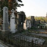 POSLIJE 40 DANA OTKOPAVAJU POKOJNIKA DA GA SUNCE OGRIJE: Milica je ranom zorom OTVORILA GROB svog sina, RAZLOG ĆE VAS Š0KIRATI