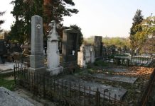 POSLIJE 40 DANA OTKOPAVAJU POKOJNIKA DA GA SUNCE OGRIJE: Milica je ranom zorom OTVORILA GROB svog sina, RAZLOG ĆE VAS Š0KIRATI