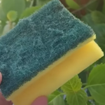 Nikada ne bacajte stari sunđer: Kada vidite čemu služi čuvat ćete ga kao oči u glavi