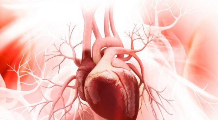 Ljudi misle da im je pao pritisak, a ustvari srce je stalo na trenutak: Srpski kardiolog otkrio šta prvo da uradite kad preskače i lupa