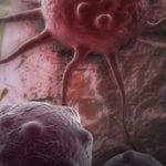 Dvije namirnice ubrzavaju starenje i podstiču rak: Izbjegavajte ih nakon 40. godine