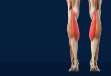 Slabost u nogama i gubitak snage često nemaju veze s godinama, nego s tanjurom. Postoji 6 namirnica koje čuvaju mišiće i pokretljivost. Provjerite da li ih jedete