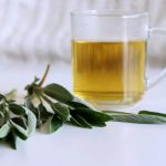 RAKIJA OD ŽALFIJE JAČA JE OD SVAKE HEMIJE: Ova 3 Recepta Obavezno Čuvajte Za Zdravlje Vas I Vaše Porodice