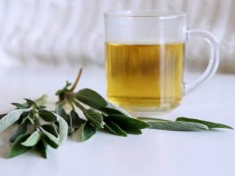 RAKIJA OD ŽALFIJE JAČA JE OD SVAKE HEMIJE: Ova 3 Recepta Obavezno Čuvajte Za Zdravlje Vas I Vaše Porodice