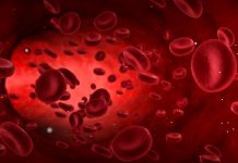 RECEPT ZA KRVNU SLIKU: Jedan možda od najboljih koje nudi narodna medicina…