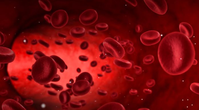 RECEPT ZA KRVNU SLIKU: Jedan možda od najboljih koje nudi narodna medicina…