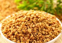 Ovu biljku skoro niko ne jede u Srbiji, a u njoj se krije pravo blago, čini čuda za organizam: Endokrinolog otkriva sve njene blagodeti