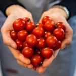 Ko ne bi trebao jesti paradajz? Ako imate OVE bolesti IZBACITE ga iz prehrane odmah!