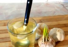 SVI ZNAMO KOLIKO JE LJEKOVIT BIJELI LUK, ALI OVO DO SADA NISTE ČULI: Voda od bijelog luka pravi ČUDA U ORGANIZMU, evo na šta sve utiče