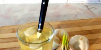 SVI ZNAMO KOLIKO JE LJEKOVIT BIJELI LUK, ALI OVO DO SADA NISTE ČULI: Voda od bijelog luka pravi ČUDA U ORGANIZMU, evo na šta sve utiče