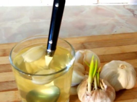 SVI ZNAMO KOLIKO JE LJEKOVIT BIJELI LUK, ALI OVO DO SADA NISTE ČULI: Voda od bijelog luka pravi ČUDA U ORGANIZMU, evo na šta sve utiče