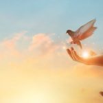 Narodno vjerovanje koje rijetko ko zna: Što znači kada vam ptica sleti na prozor ili pokuca na staklo