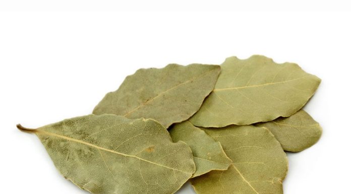 Stavite list lovora u čarapu: Prirodni lijek koji ublažava bolove tokom noći