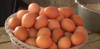 Sedmodnevni eksperiment s jajima: Šta se desilo kada je svakog jutra jela po tri jaja?