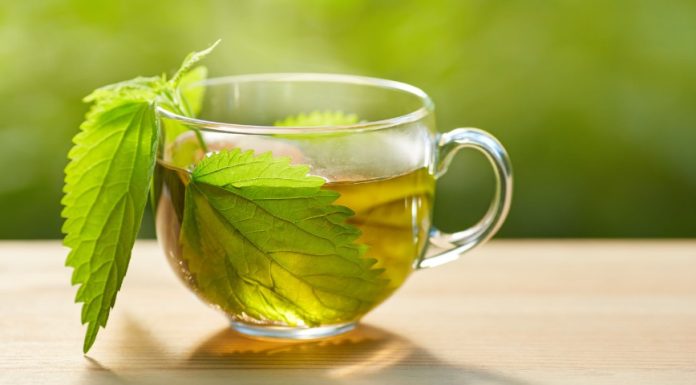 Imala je stalno NISKO ŽELJEZO, a onda je otkrila OVAJ recept: Kada je izvadila NALAZE