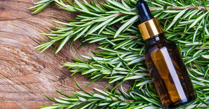 Kosa raste kao luda i PRESTAJE da opada: ŽIVA VODA za kosu, efekat će vas oduševiti!