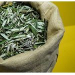 U BIBLIJI SE SPOMINJE 1000 PUTA: Skuhajte čaj koji pomaže kod liječenja od najtežih bolesti!