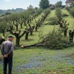 Komšija mi je posjekao voćnjak i UNIŠTIO 20 GODINA TRUDA ZA JEDNU NOĆ: Ali Draganov odgovor na pragu ga je potpuno SLOMIO!