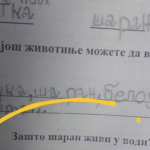 Na pitanje “zašto šaran živi u vodi” đak prvak dao URNEBESAN ODGOVOR: Kad malo bolje razmislite, zapravo je GENIJALAN
