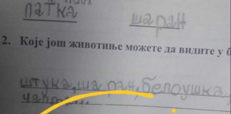 Na pitanje “zašto šaran živi u vodi” đak prvak dao URNEBESAN ODGOVOR: Kad malo bolje razmislite, zapravo je GENIJALAN