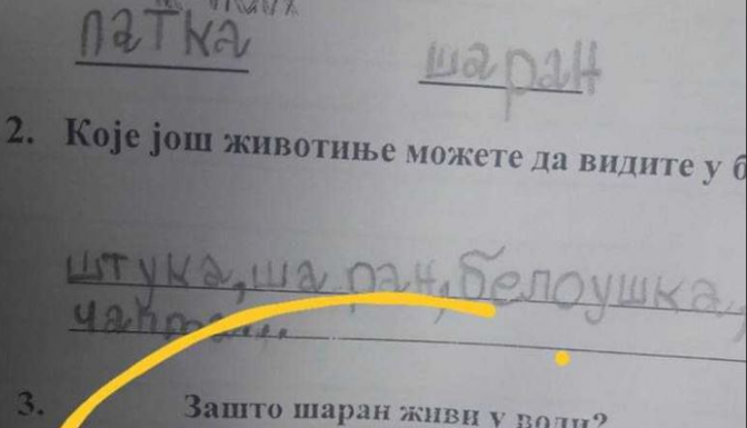 Na pitanje “zašto šaran živi u vodi” đak prvak dao URNEBESAN ODGOVOR: Kad malo bolje razmislite, zapravo je GENIJALAN