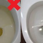 Nije sirće ni soda bikarbona: Ovo sredstvo najbolje uklanja kamenac u WC šolji