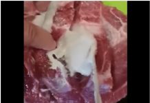 VIDEO Puljanin kupio meso iz kojeg je iscurilo nešto odvratno, pogledajte snimku