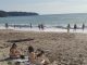 Panika kod Sutomora, JEZIVO MORSKO STVORENJE sledilo kupače!SVI PREDTRAVLJENI POBJEGLI SA PLAŽE GLAVOM BEZ OBZIRA!!!