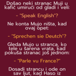 VIC: Mujo i strani jezici