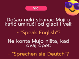 VIC: Mujo i strani jezici