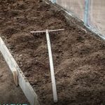 7 vrsta povrća koje se ne đubre nikad: Rastu samo od vode i sunca