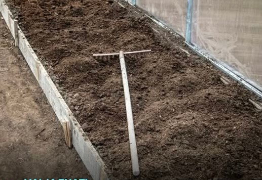 7 vrsta povrća koje se ne đubre nikad: Rastu samo od vode i sunca