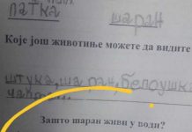 Na pitanje “zašto šaran živi u vodi” đak prvak dao URNEBESAN ODGOVOR: Kad malo bolje razmislite, zapravo je GENIJALAN