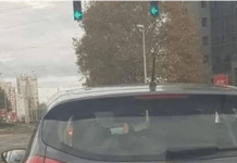 D0DA0 JE 2 slova uz marku svog auta i nasmejao ceo Balkan do suza… (foto)