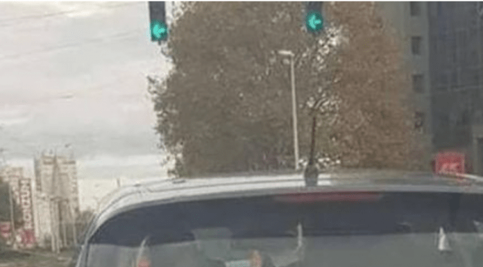 D0DA0 JE 2 slova uz marku svog auta i nasmejao ceo Balkan do suza… (foto)