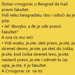 VIC DANA !! CRNOGGORAC U BEOGRADU