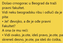 VIC DANA !! CRNOGGORAC U BEOGRADU