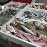 Ovo je najzdravija riba: Bolja od LOSOSA, A MNOGO JEFTINIJA – Evo koliko često je treba jesti