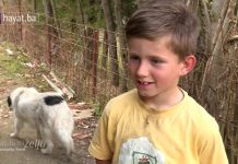 AJDINA JE 0STAVILA MAJKA KAD JE IMAO 5 Godina, Cijeli Balkan Je Plakao: A P0GLEDAJTE GA DANAS